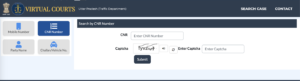cnr number challan search